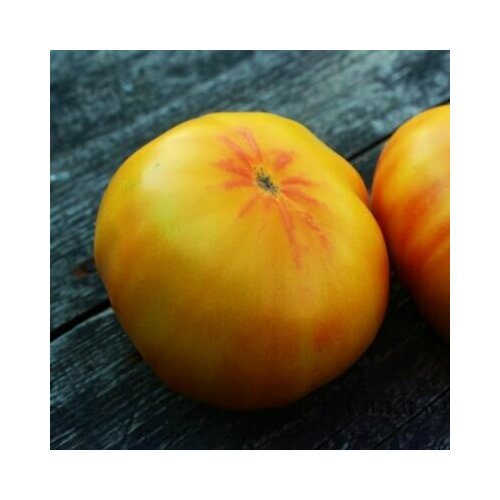 ���� ������������� ������ ������ ��������� ��������, ������ �� 238 ���