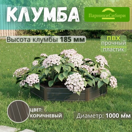 ���� ������� ������/������ �� ���, ��������, 