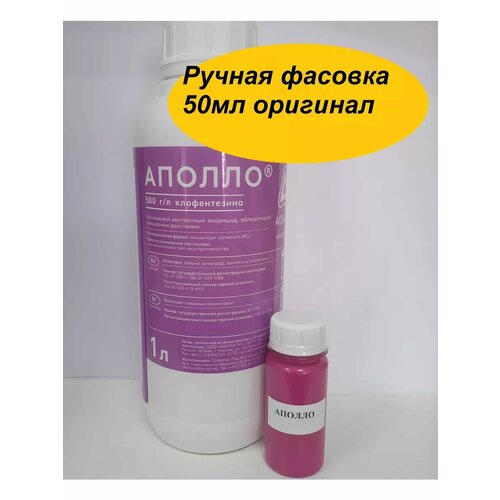 ���� ������ 50�� �� �����, ������ �� 1240 ���