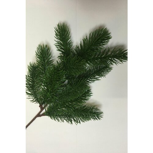 ���� ����� ��� ������������� 36��, �������� 2�� ����������, ������ �� 370 ���