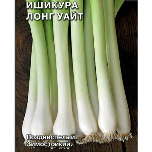 ���� ������������� ������ ���� ����� ������� ���� ����, ������ �� 127 ���