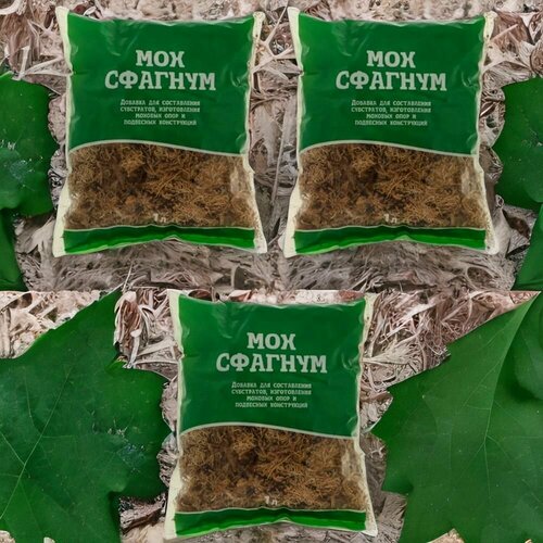 ���� ��� ������� 1� / 3�� ��� ��������. �������������, ������ �� 380 ���