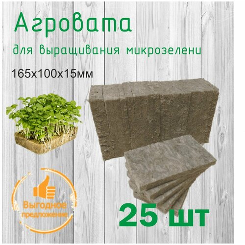 ���� �������� ��� ����������� �����������, ������ �� 451 ���