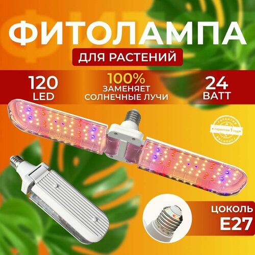            ,   120 LED 24 ,   1500 