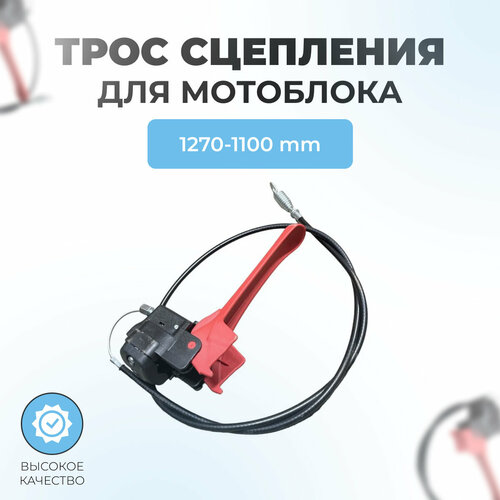 ���� ���� ��������� ��� ��������� (� ����� � ������), ������ �� 1490 ���