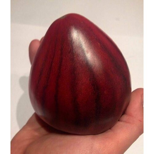 ���� ������������� ������ ������ ��� 5, ������ �� 127 ���