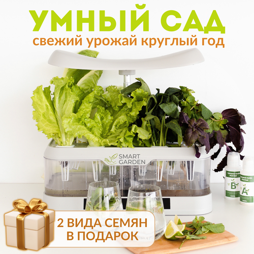 ���� ���������� ������� �����, �������� ����� ���, Aqua Maxi, �����, ������ �� 11300 ���