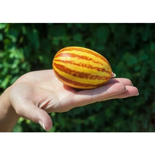 ���� ������������� ������ ���� ����������� ������� ������� ��������, ������ �� 104 ���