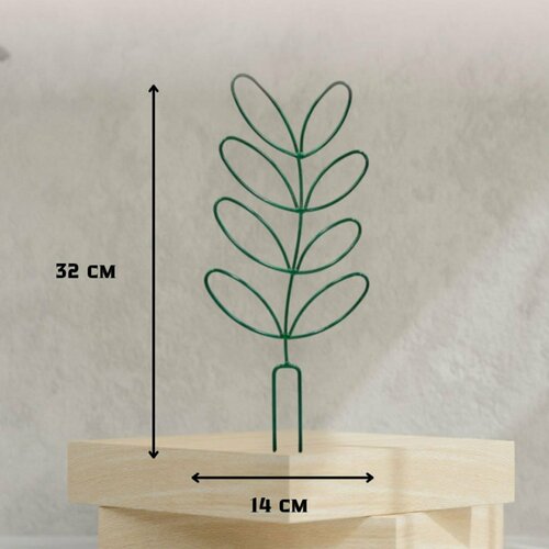 ���� ������� ��� ���� � ����, ������ �� 368 ���