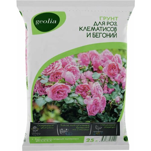 ���� ����� Geolia ��� ��� ���������� � ������� 25 �, ������ �� 962 ���