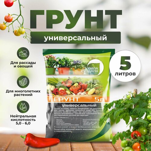 ���� ����� ���� ������� ������������� black ������, 5 �, 2.55 ��, ������ �� 520 ���