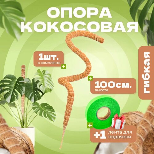 ���� ��������� ����� ��� �������� ������, 100��, 1��, ������ �� 500 ���