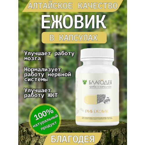 ���� ������ � �������� 