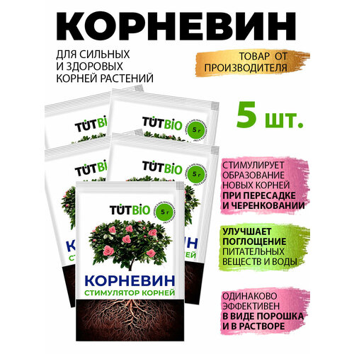 ���� �������� �������� ���������� ���������������� 5�*5�� ���������, ������ �� 181 ���