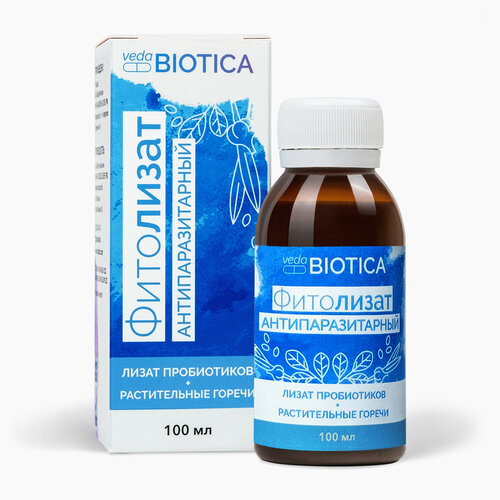 ���� ���������� 