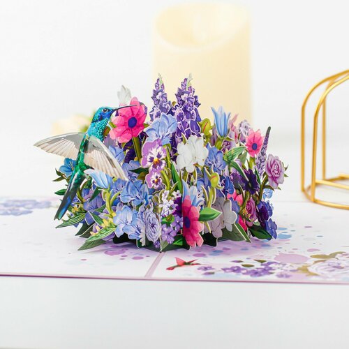 ���� �������� �������� 3� 