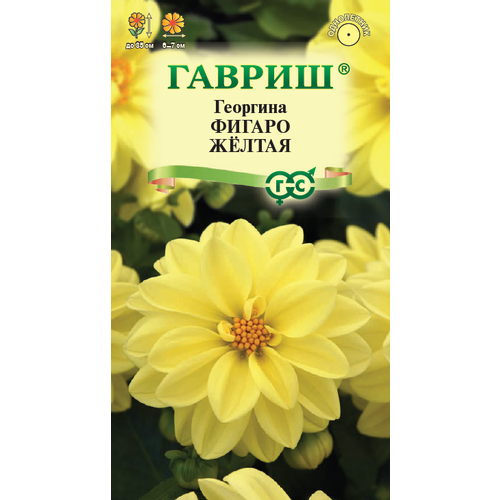 ���� ������ �������� ������ ������ 7�� ��� ����� 30�� (������), ������ �� 90 ���