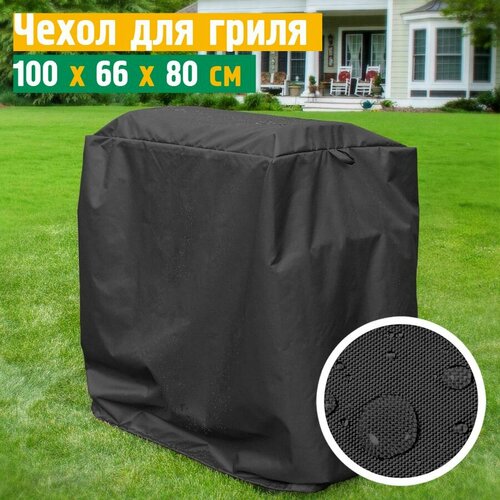 ���� ����� ��� ����� JEONIX, �����������������, 100�66�80 ��, �����-�����, ������ �� 1982 ���