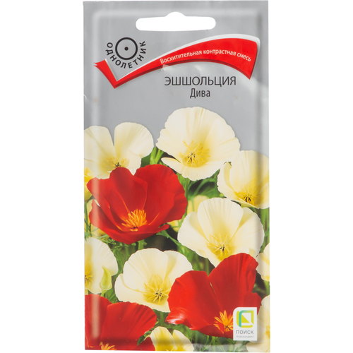 ���� ������ ����� ��������� ���� (��) 0,2�, ������ �� 42 ���