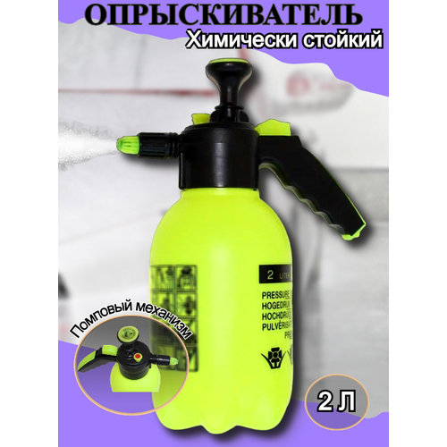 ���� �������������(�����������) 