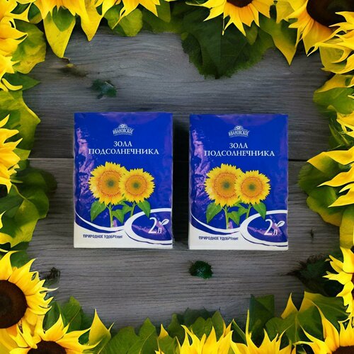 ���� ��������� ���� ������������� 2� / 2��. ���������� ��������� ����������, ������ �� 350 ���