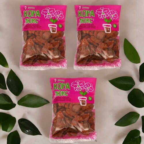 ���� ���� ��������� ����� ���� 2�, ������ �� 445 ���