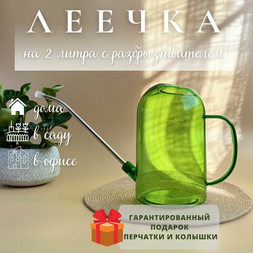 ���� ����� ��� ������ 2 �����, ������ �� 1150 ���