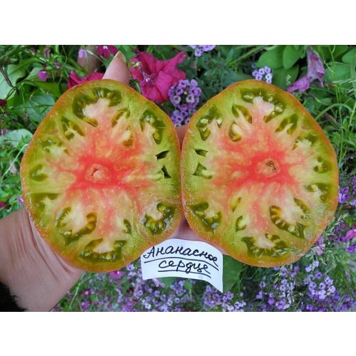 ���� ������������� ������ ������ ��������� ������ ׸����, ������ �� 102 ���