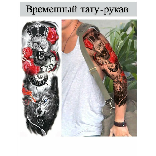 ���� ��������� ���������� ���� �����, ������ �� 450 ���