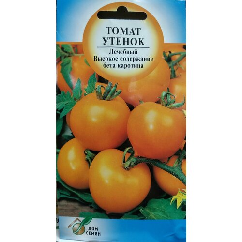 ���� ����� ������, �������� ����������� ��������� ���� � �������� ��������������� ������, ������� ���������� ���� �������� ��� ������������ �������������� �����������, 30 �����, ������ �� 241 ���