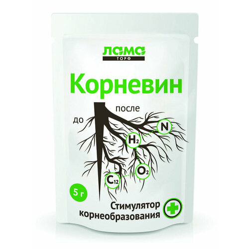 ���� ��������� �������� ���� ����, 5 ��, ���������� ����� ������ ��� ���� �������� ��������, ������ �� 56 ���