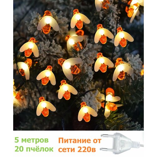 ���� �������� ������������� ������ 5 ������, ������ �� 635 ���