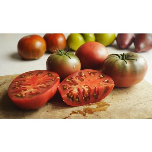 ���� ������������� ������ ������ ���� ����� ����, ������ �� 102 ���