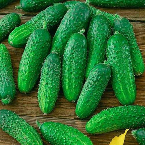 ���� ������������� ������ ������ ��� F1, ������ �� 122 ���