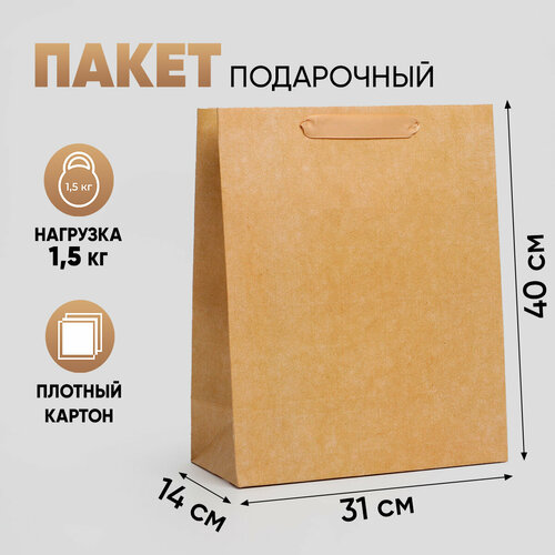 ���� ����� ���������� �������������� ���������� 31 � 40 � 14 ��, ������ �� 233 ���