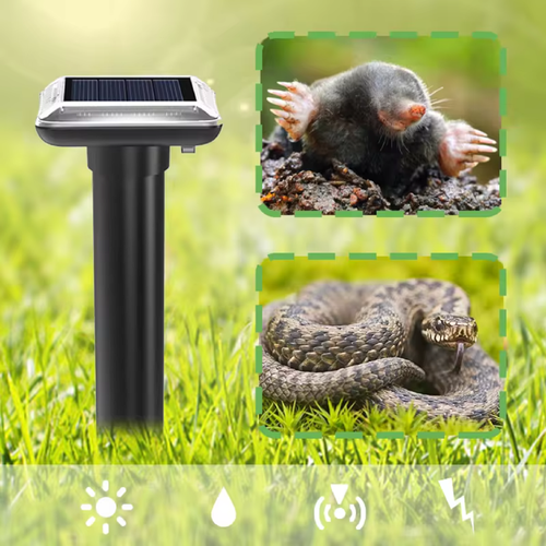 ���� �������������� ������������ �����, ������, ���� �� ��������� ������� SJZ038, ������ �� 549 ���