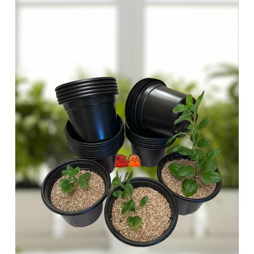     40  0,5,  ,  ,   650 