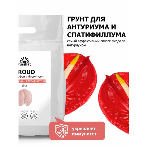    : , , , , , , (Purshat) 10 ,   1191 