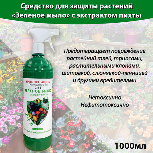 ���� ������� ���� ����� 1 ����, �������� ��� ������ �������� �� ����������, �� ���, �������, ������., ������ �� 350 ���