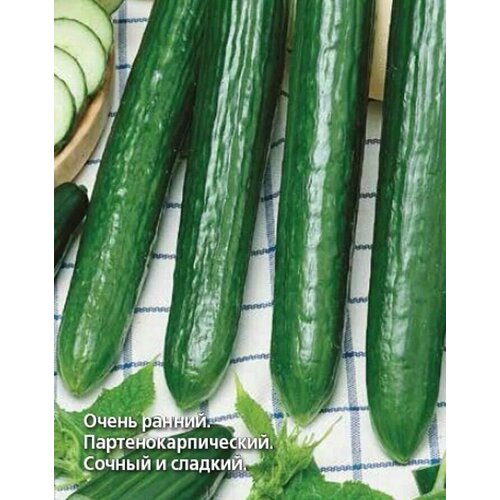 ���� ������������� ������ ������ F1 �������, ������ �� 107 ���