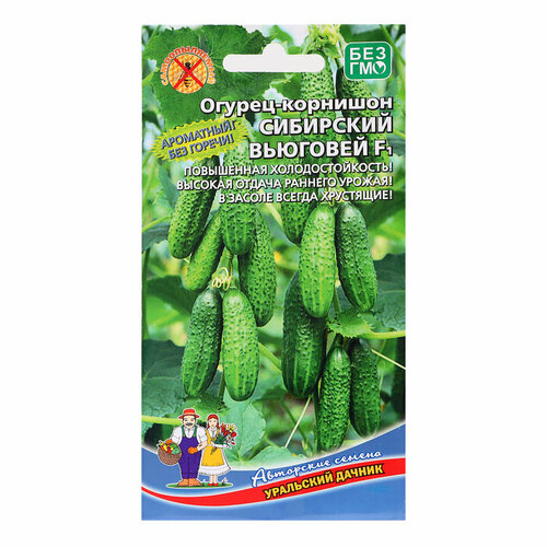 ���� ������ ������ 