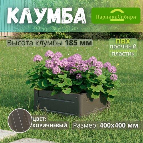 ���� ������� ������/������ �� ���, ��������, 