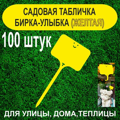    - .   . 100  (),   500 