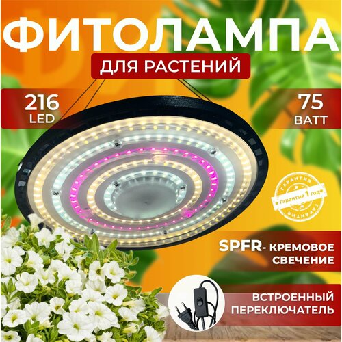          ,  ,  ,     216 LED 75 ,   3000 