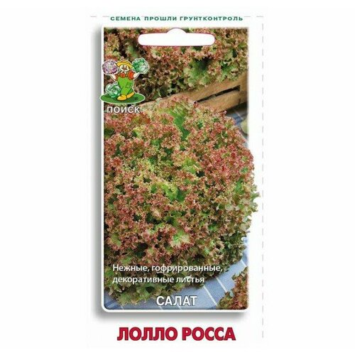 ���� ������ ����� ������ ����� �����, 1 � (1 ��.), ������ �� 46 ���