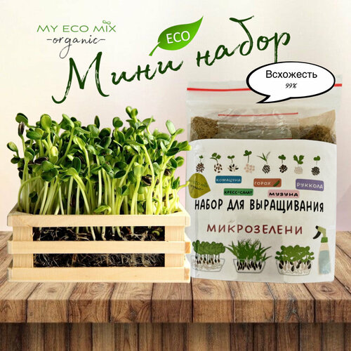 ���� ���� ����� ����������� ( �������+������+�����-�����+�������� +�����), ������ �� 480 ���