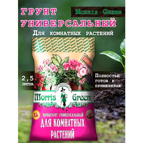 ���� ����� ������������� ��� ��������� ������ 2,5 �, ������ �� 289 ���