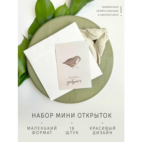 ���� ����� �������� 7�10 ��, 16 ��������, ������ �� 221 ���