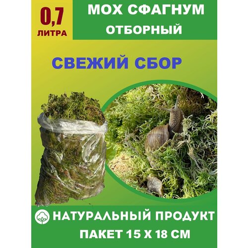 ���� ����� ��� ������� �������� 0,7 ����� ��� �������, ������, ��������, ������ �� 375 ���