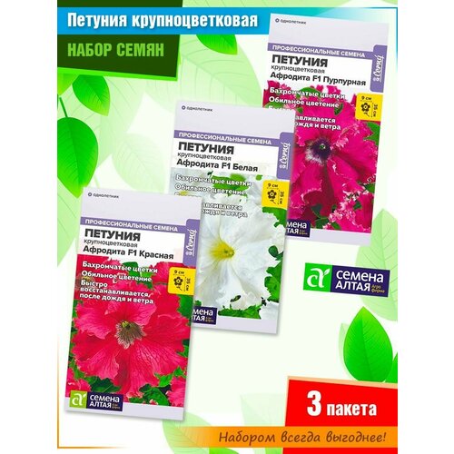 ���� ����� ����� ��������������� ������� �������� �� ������ ����� (3 �����), ������ �� 315 ���